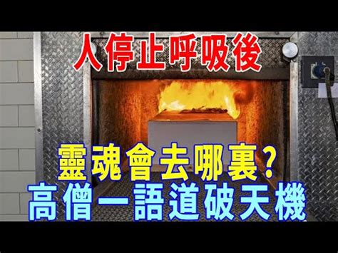 火化過程是否靈魂已跑走|火化過程要多久？火葬過程分5環節，記得這11樣物品。